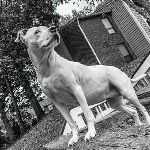 Meet your Posher, Emmanuel